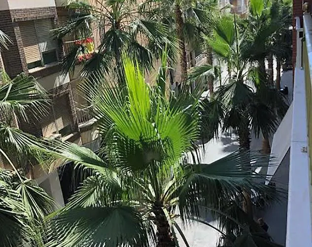 Piso Centro Ciudad Club Nautico